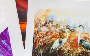 How to Protect Your Print for Long-Term Display