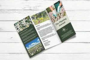 Design Choices That Affect Print Clarity
