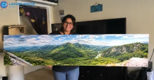 Panoramic